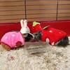 Clysee 10 Pcs Cute Guinea Pig Stuff Includes 5 Mini