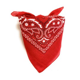 Mechaly Lightweight Soft Cotton Scarf Neckerchief (Paisley Red)