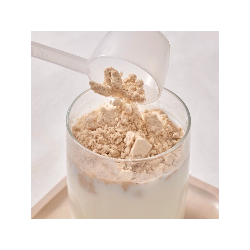 Mammake 비건 단백질 미숫가루 대용량(원통) 500g 1개 Vegan Protein Meal