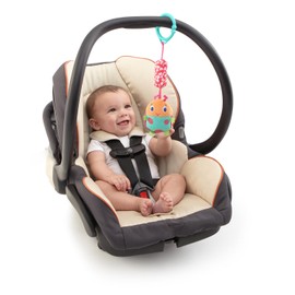 Kids II Bright Starts Pink Pals Carrier Toy Bar