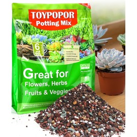 TOYPOPOR Succulent Soil, Cactus Potting Mix 12 Pounds/6QTS, High Drainage, Pre-Mixed Ready to Use for All Succulent Varieties, Indoor Plants, Bonsai, Terrarium, Houseplant, 70% Particles 30% Soil
