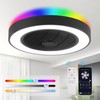 LEDIARY 20 Inch Low Profile Ceiling Fans With Lights, Led
