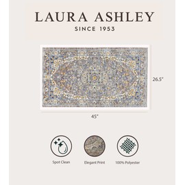 Laura Ashley Turkish Mystic Chenille Accent Rug - Reign| Modern Home Décor | Measures 26.5"X45" | Grey and Gold