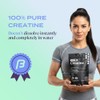 B-FIT Just Creatine Creapure - Creatina Monohidratada Pura
