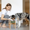 Dog Bowl Stand for Large Dogs (See Size Guide) -