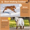 2 Pairs of Dog Socks for Indoor Use, Double-Sided Handles,