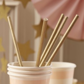 Ginger Ray Gold Metallic Party Paper Straws - Pastel Perfection