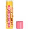 Burt's Bees Bálsamo labial 100% natural, caja de ampolla de