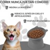 Comedero Elevado Para Perro Y Gato Plato Elevado Ergonómico Color