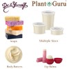 Kokum Butter Premium 100% Pure Raw Cold Pressed Natural Skin