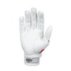 Rawlings 5150 Flag Country Batting Gloves Limited Edition Adult, Florida,