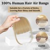 mtuihfo Clip in Fringe,Human Hair Fringe Clip in Hair Extensions,Bangs