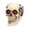 Nemesis Now - Steampunk Clockwork Cranium Skull Figurine