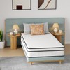 FDW 10 Inch Twin Mattress,Hybrid Mattress Memory Foam & Innerspring,