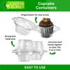 Green Direct Clear Stackable Cupcake Boxes Disposable Individual Cupcake Containers