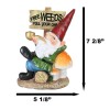 Mr Gnome Grandpa Smoking Pipe By Toadstool Mushrooms And Free