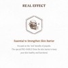 Skinfood [Skinfood]Royal Honey Propolis Mask