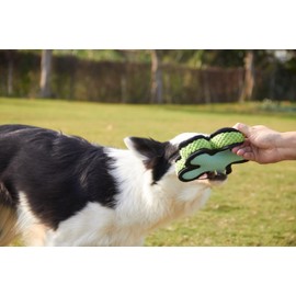 POMOSAVIDA+ PTC0012+starfish pet toy chew toy squeaky toy dog toy interactive dog toyplush emulsion toy dog squeaky toys for aggressive chewers, toys for aggressive chewers large breed