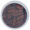 MITICA Mitica Caramelized Pecans, 4.41 OZ