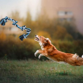 TAKMOO Juguetes para Perro, Cuerda para Masticar Perros, Cuerda Indestructible de 5 Nudos de 86 cm de Largo, Cuerda de Tirón de Perro para Limpieza de Dientes (Azul)