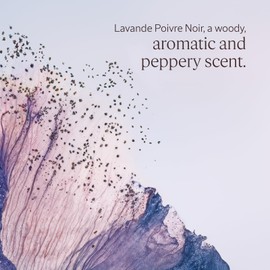 L'OCCITANE - Lavande Poivre Noir (formerly L’Occitan) Shower Gel - 75 ml - Woody, aromatic and peppery fragrance - Made in France