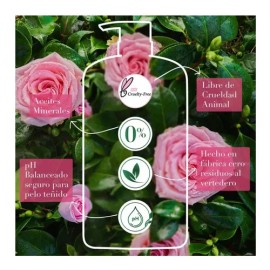 Acondicionador Herbal Essences Rosa Mosqueta 865 Ml                                                                                                   