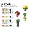 YAMATO Plastic Planter Pot, Kuenchiro Pot (with saucer)