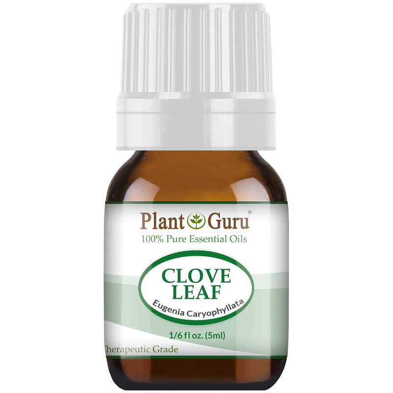 Clove Leaf Essential Oil 5 ml 100% Pure Undiluted Therapeutic