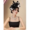 SWEETV Sinamay Kentucky Derby Hats Fascinators for Women, Tea Party