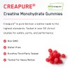 SteelFit Creatine Gummies (Creapure) 120 pack Juicy Watermelon