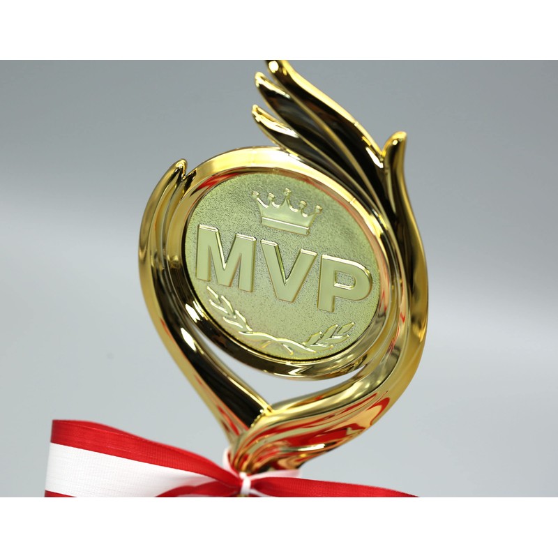 Trophy Winner Height 9.8 inches (25 cm), Prize Product, Reward,