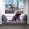 Lucky Paws® UK Dog Drying Coat - Luxurious Double Layer
