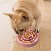 Coolplay Dog Bowl Slow Eating Dog Bowl Slow Eater Dog