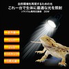 Zensui Solarium Replacement Bulb, 35W