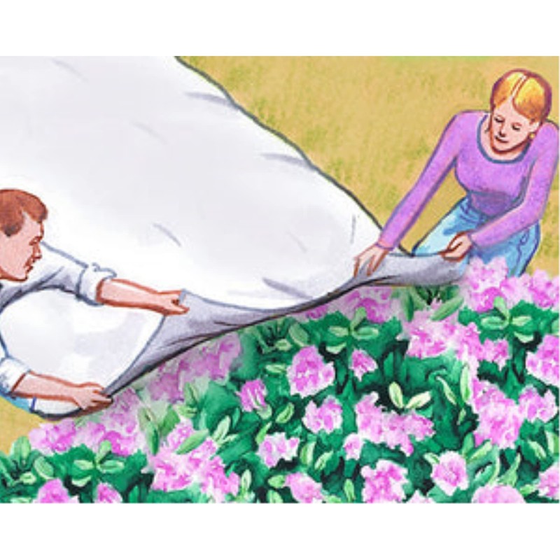 DALEN Harvest-Guard Premium Protective Yard and Garden Cover; (10-ft x
