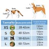 Arnés Pechera con Correa y Bandas Reflectantes para Perro Talla