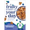 Kashi Breakfast Cereal, Organic, Whole Grain, Blueberry Clusters, 17.2oz Box