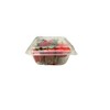 bark and lindy Plastic Berry Basket with Hinged Lids, Pint