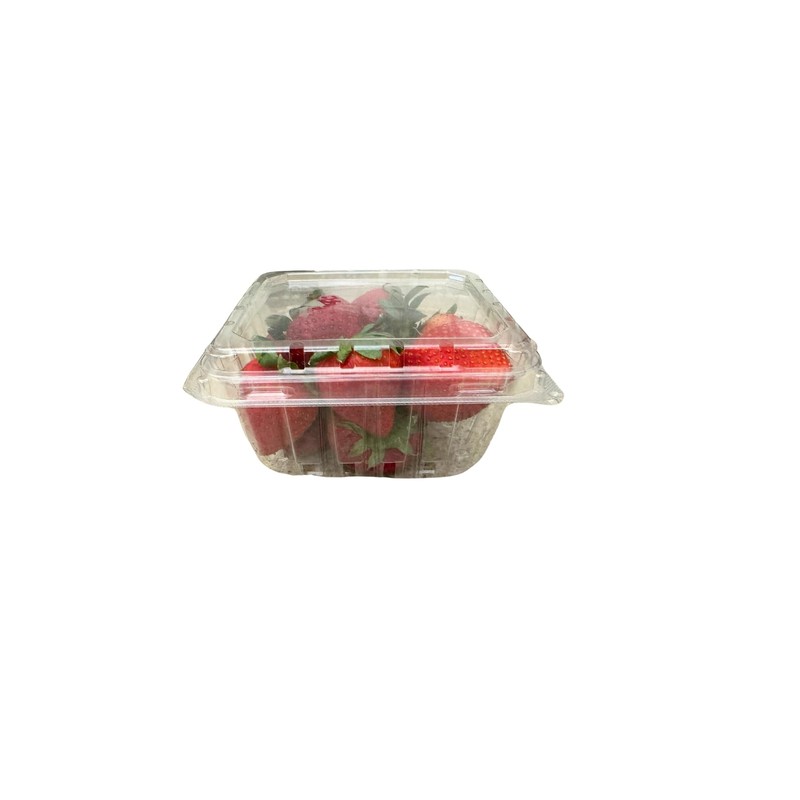 bark and lindy Plastic Berry Basket with Hinged Lids, Pint