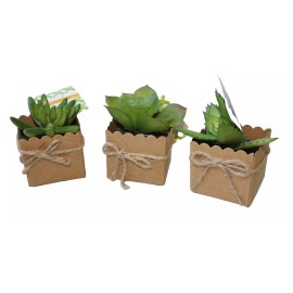 Unbranded Set of 3 3" Mini Artificial Succulent Plants in Square Paper 2"x2" Pots Gift