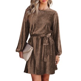 Happy Sailed Fashion Velvet Dress for Women 2025 Fall Long Sleeve Tie Waist Swing Skater Elegant Cocktail Party Dresses Brown Small