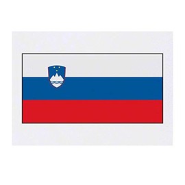 'Slovenia Flag' Temporary Tattoo - Water Resistant, Skin-Safe, Non-Toxic Transfer (TO00030731)