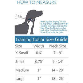 RC Pets 5/8" Martingale Training Dog Collar, X-Small, Skyline