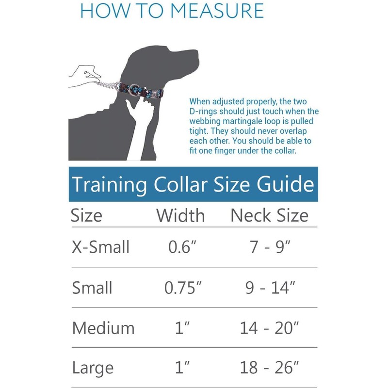 RC Pets 5/8" Martingale Training Dog Collar, X-Small, Skyline