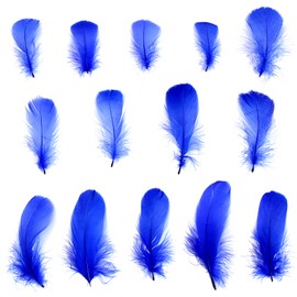 Lamar Feather 300pcs Blue Feathers 2-3 Inches Bulk Feathers for Crafting, Dream Catcher Accessories, Art Projects, DIY Crafting, Handi Crafts, Party Decoration (Royal Blue)