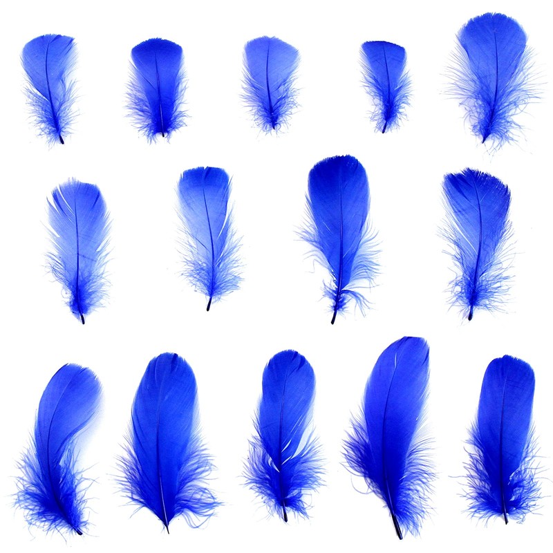 Lamar Feather 300pcs Blue Feathers 2-3 Inches Bulk Feathers for