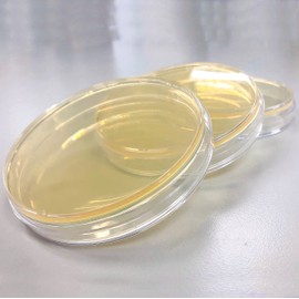LB Agar Plates - Evviva Sciences - Prepoured Luria-Bertani Agar (LB) Petri Dishes - General Purpose Media - Top Science Kit for Science Fair Projects!