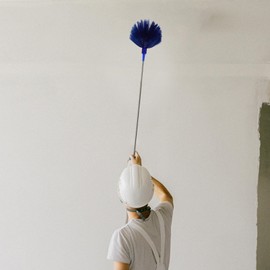 Holibanna Spider Web Duster with Extendable Handle Efficient Cobweb Brush for High Ceilings Indoor and Outdoor for Furniture and Reach Corners