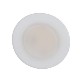 Manufacturers' Select ITC Radiance RV LED Overhead Light with Warm White Light (3", Screw Mount) (B07RJ1R3F7)