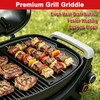 DELSbbq Cast Iron Griddle Insert for Weber Q Series Gas